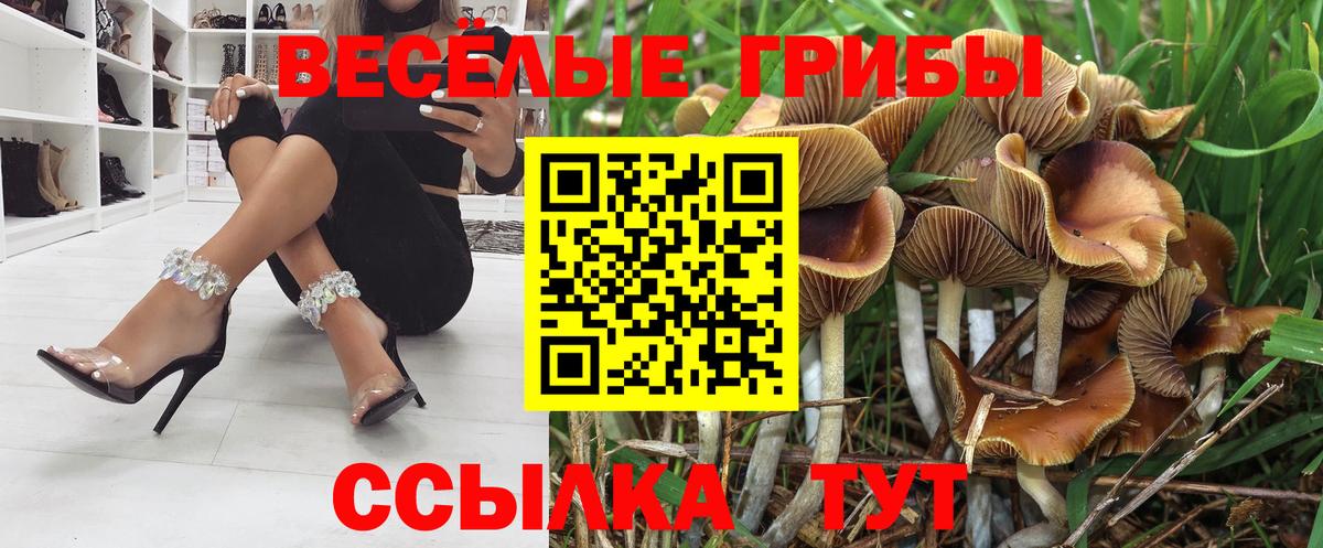 сколько стоит  Вход с VPN  Галлюциногенные грибы GOLDEN TEACHER  Воронеж  Псилоцибиновые грибы ЛСД 
